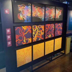 Arte generativa